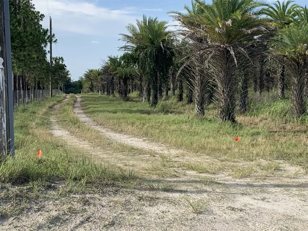 Dan Brown Hill Road Brooksville FL 34602