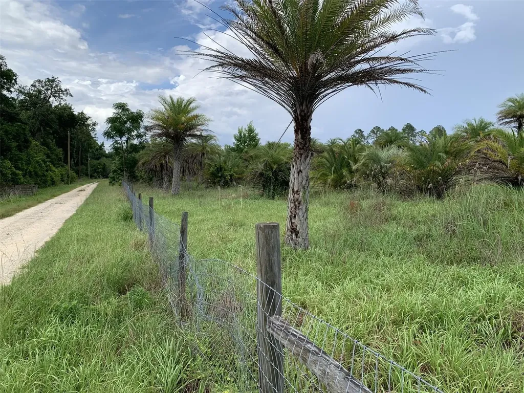 Dan Brown Hill Road Brooksville FL 34602