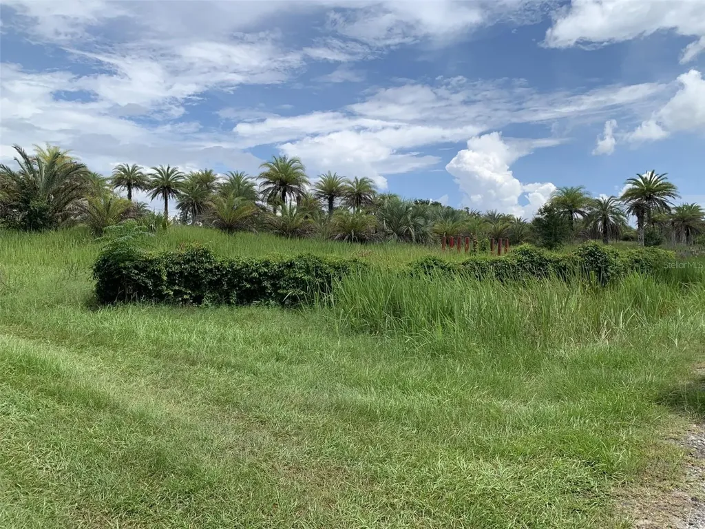 Dan Brown Hill Road Brooksville FL 34602