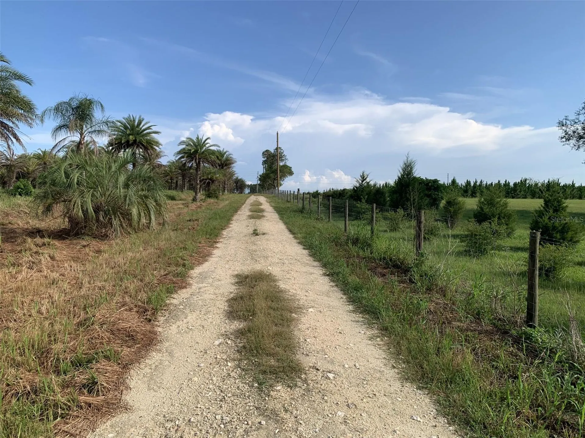 Dan Brown Hill Road Brooksville FL 34602