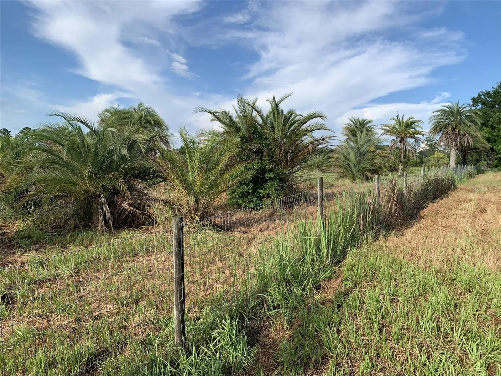 Dan Brown Hill Road Brooksville FL 34602