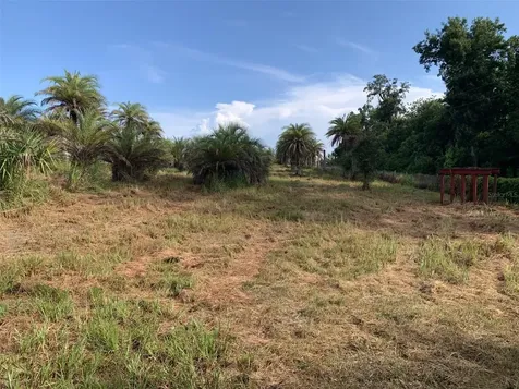 Dan Brown Hill Road Brooksville FL 34602