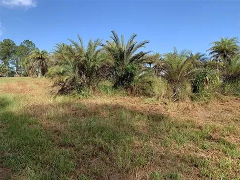 Dan Brown Hill Road Brooksville FL 34602