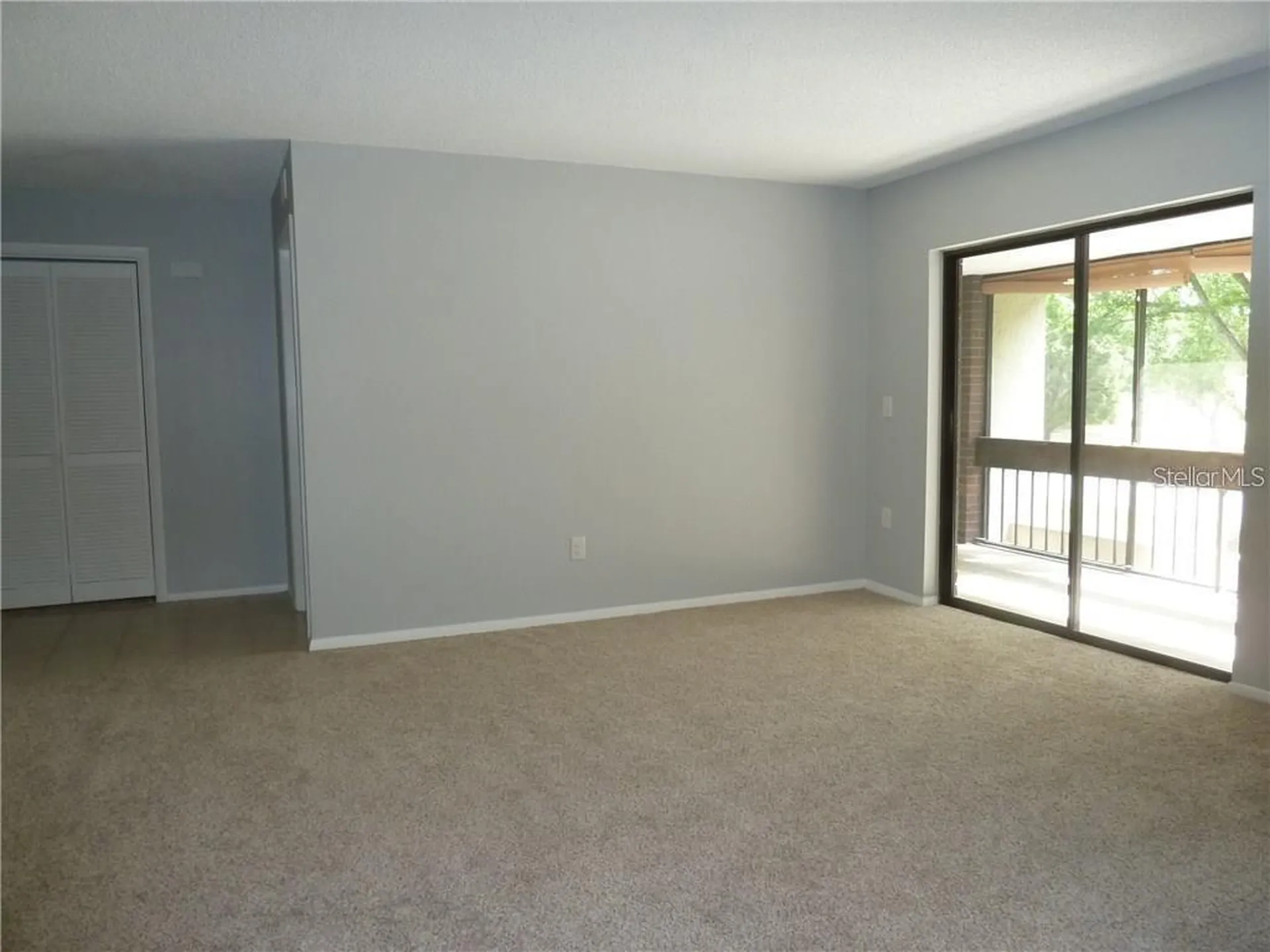 212 Caryl Way Oldsmar FL 34677