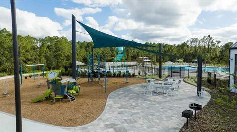 2847 Common Crane Court Harmony FL 34773