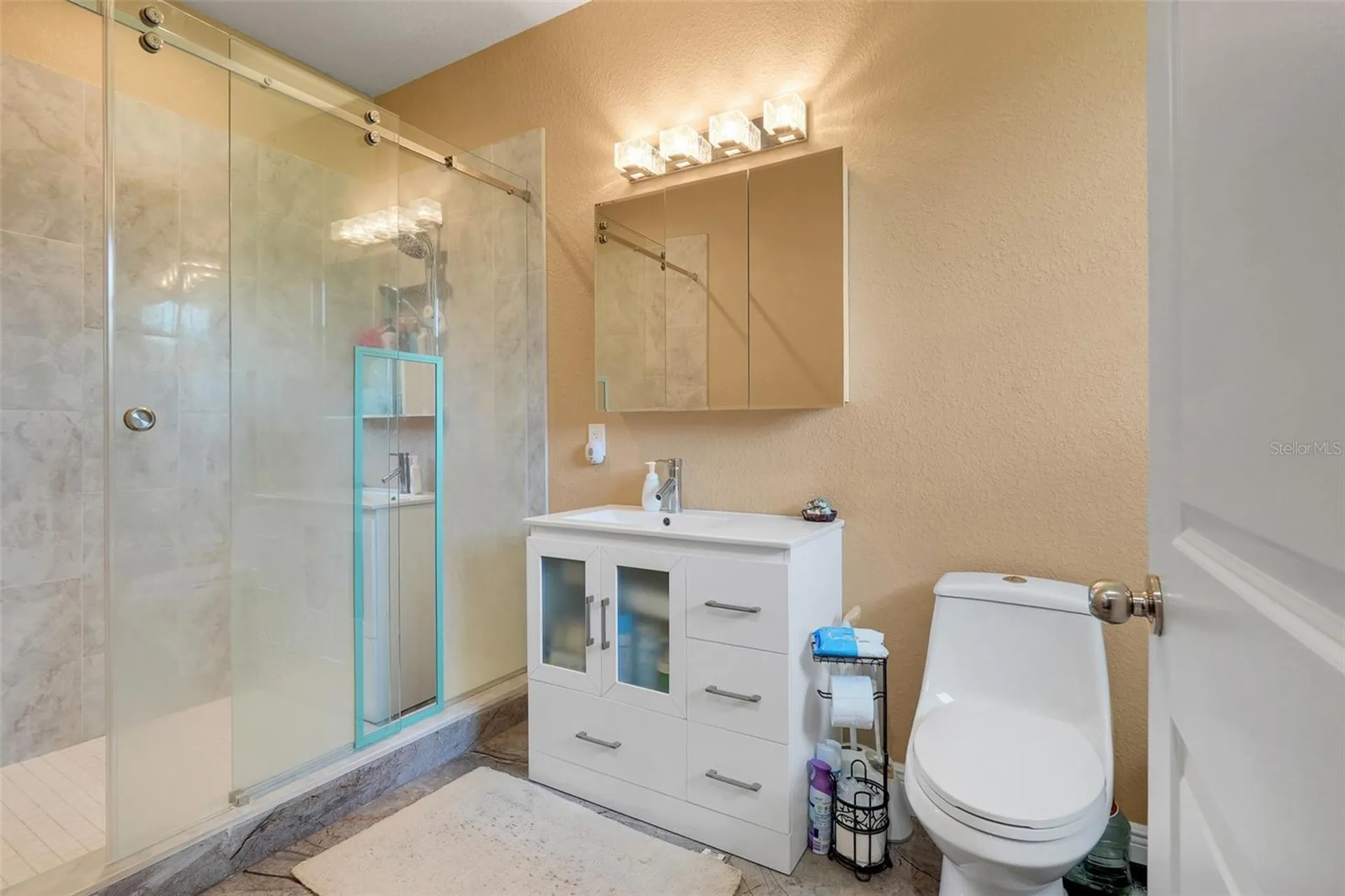 19327 Ralston Street Orlando FL 32833