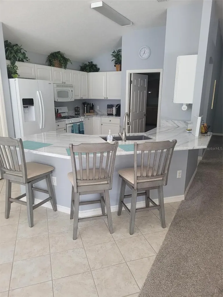 3194 Kearns Corner The Villages FL 32162
