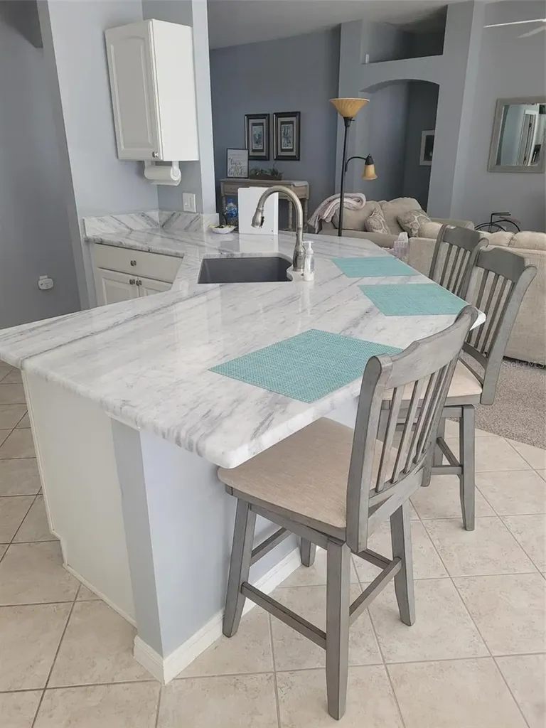 3194 Kearns Corner The Villages FL 32162
