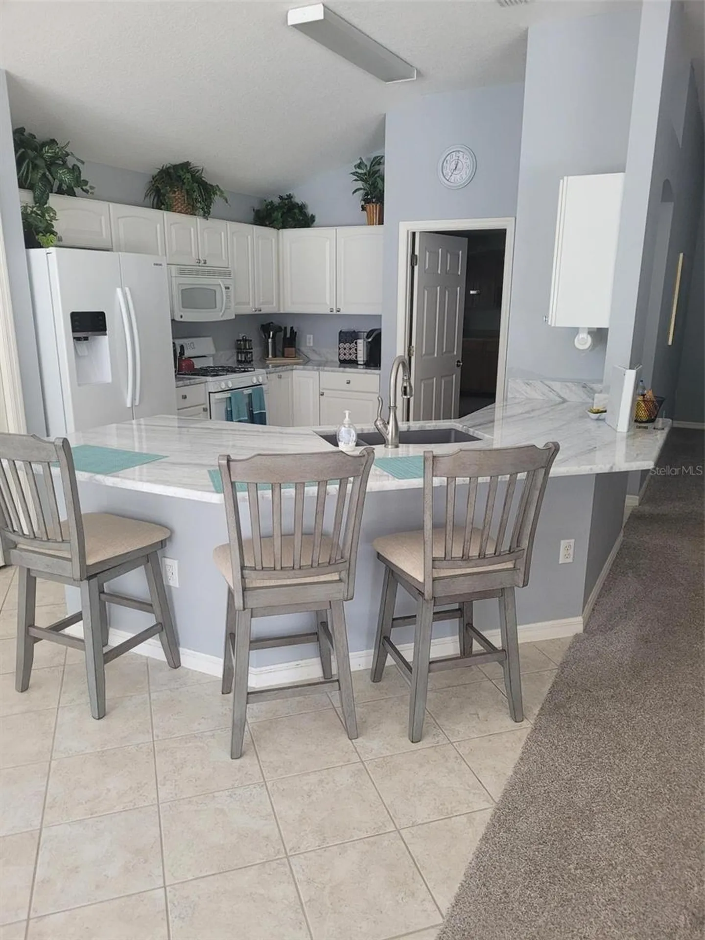 3194 Kearns Corner The Villages FL 32162