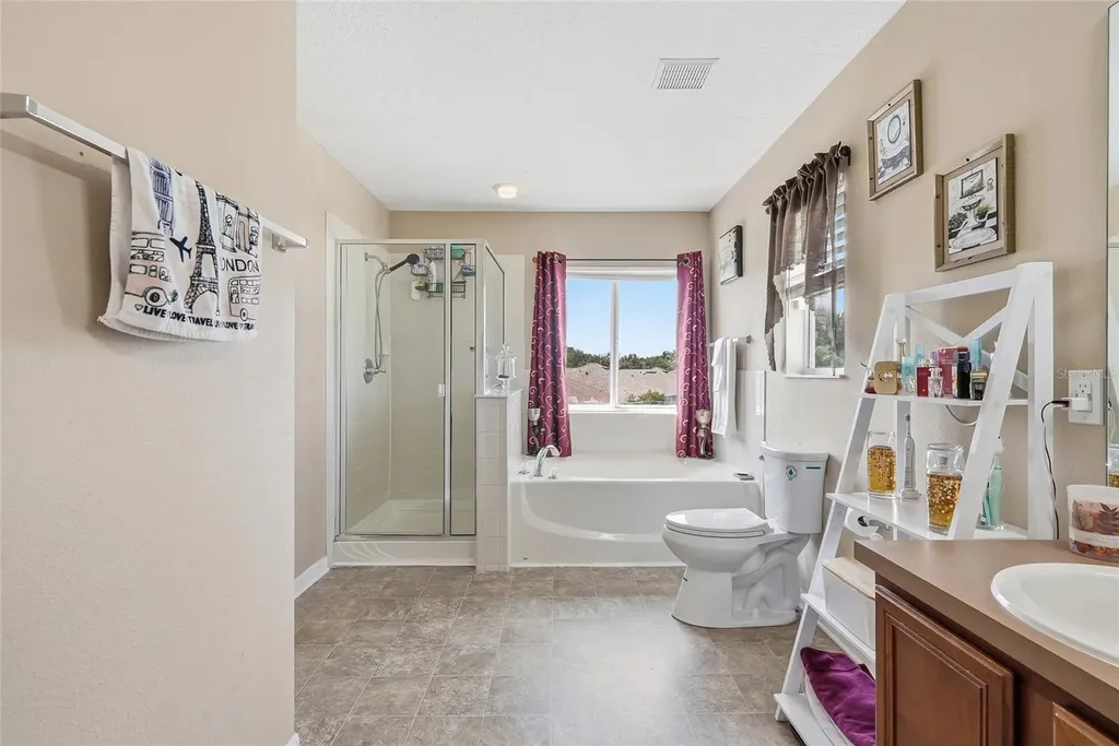 5213 Prairie View Way Wesley Chapel FL 33545