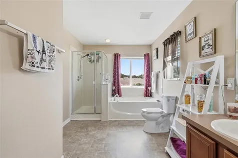 5213 Prairie View Way Wesley Chapel FL 33545