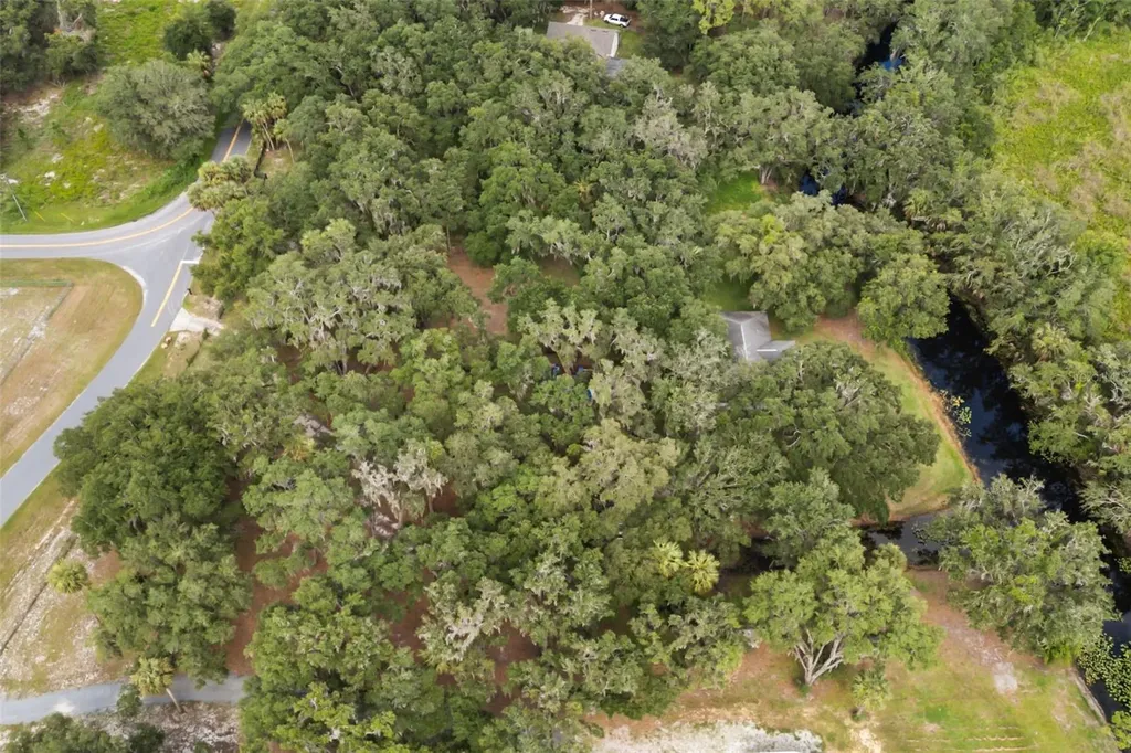 7938 Jacksons River Road Leesburg FL 34788