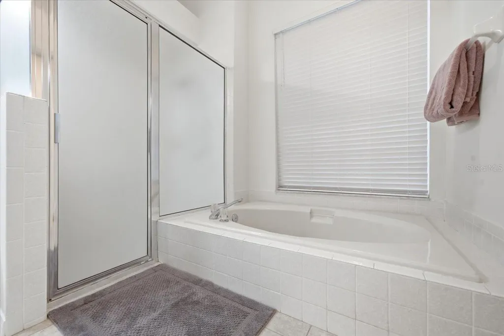 15114 Laurel Cove Circle Odessa FL 33556