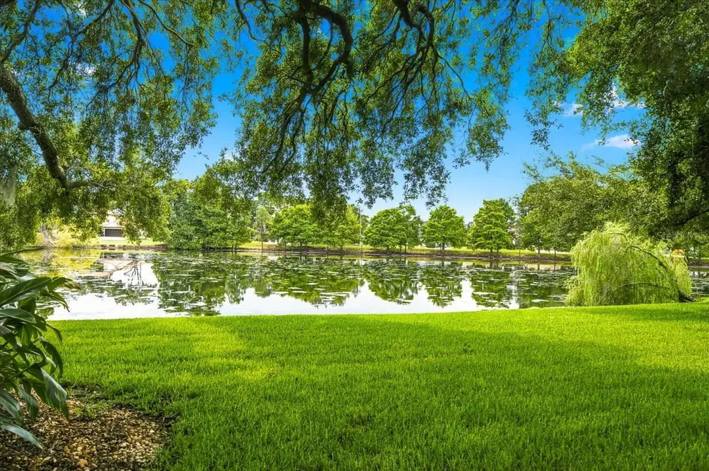 15114 Laurel Cove Circle Odessa FL 33556