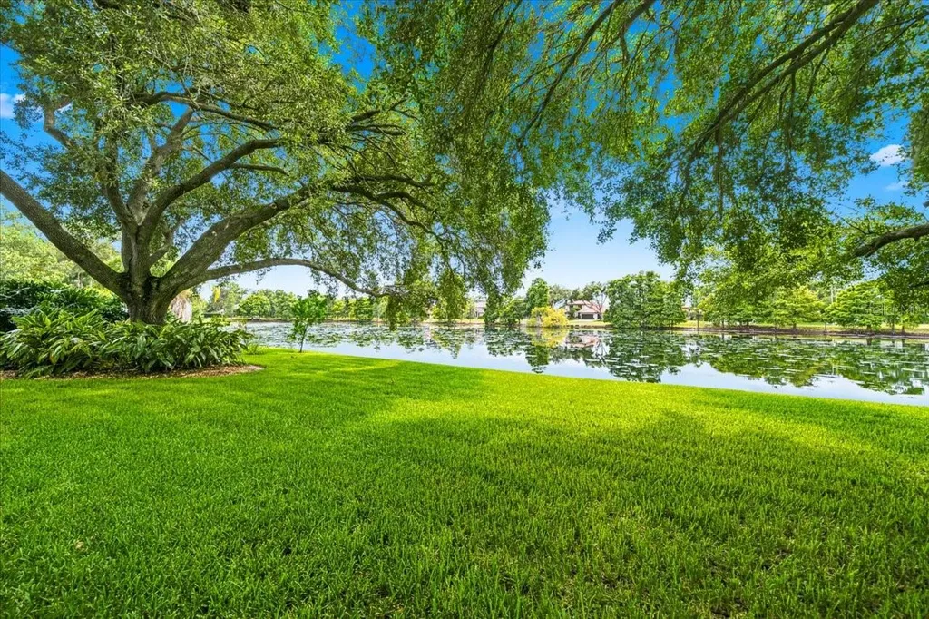 15114 Laurel Cove Circle Odessa FL 33556