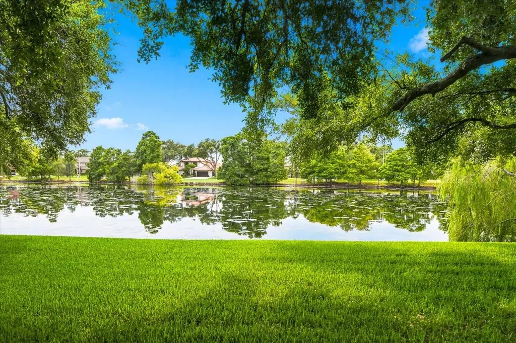 15114 Laurel Cove Circle Odessa FL 33556