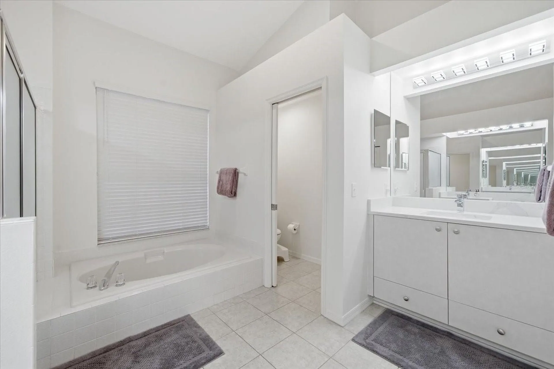 15114 Laurel Cove Circle Odessa FL 33556