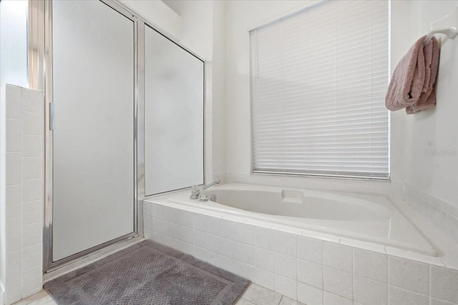 15114 Laurel Cove Circle Odessa FL 33556