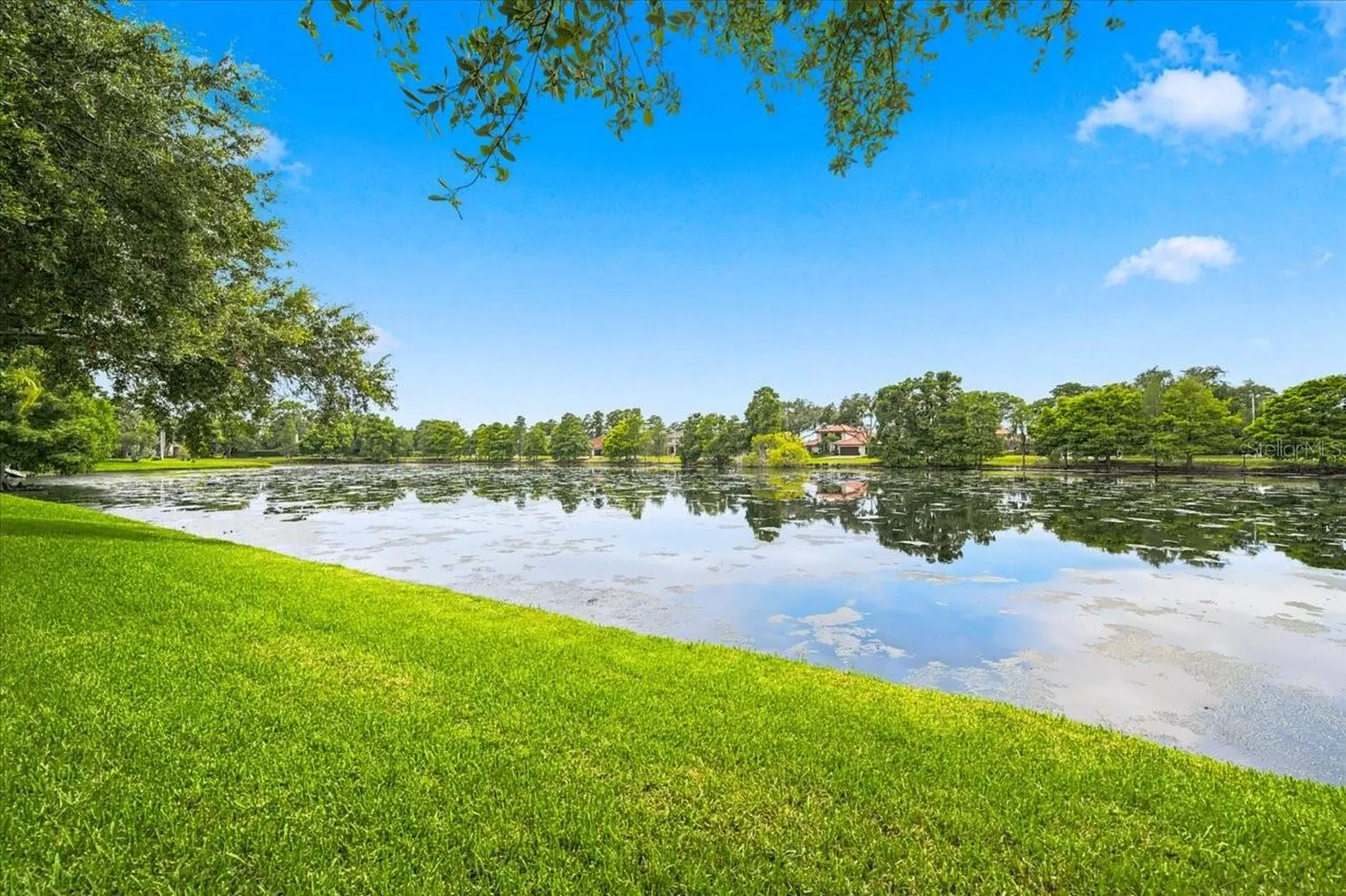 15114 Laurel Cove Circle Odessa FL 33556