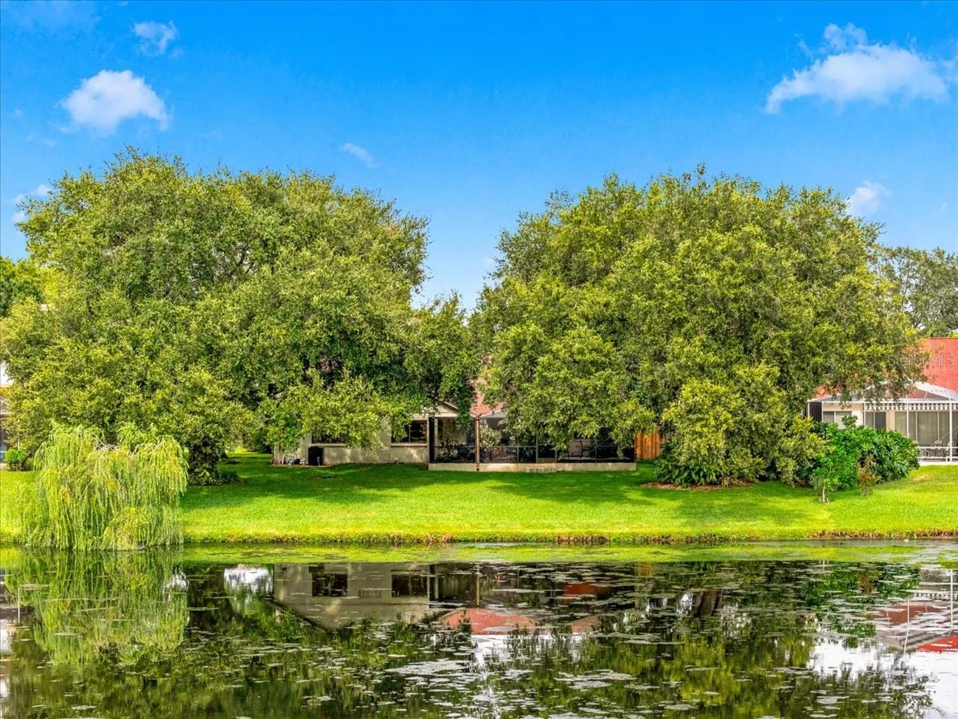 15114 Laurel Cove Circle Odessa FL 33556