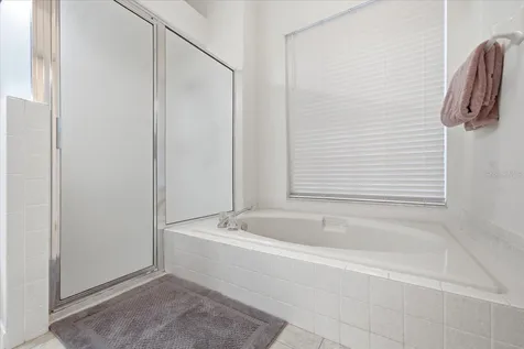 15114 Laurel Cove Circle Odessa FL 33556