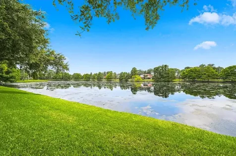 15114 Laurel Cove Circle Odessa FL 33556