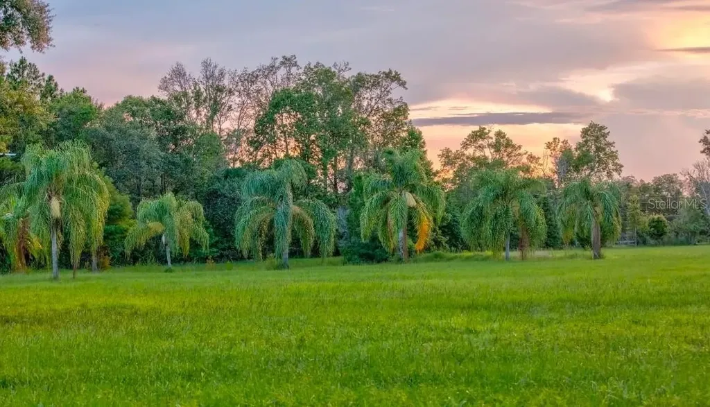 909 S County Road 3 Pierson FL 32180