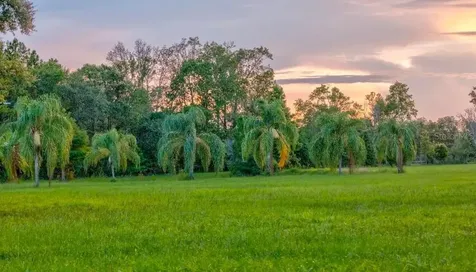 909 S County Road 3 Pierson FL 32180