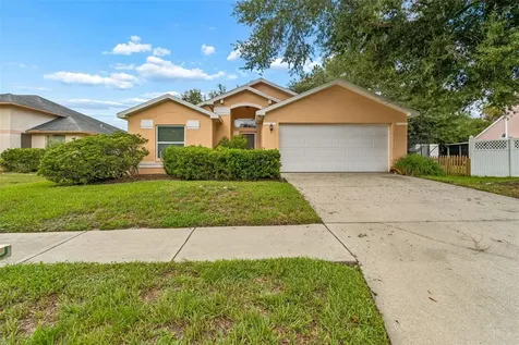 1103 Standing Reed Place Wesley Chapel FL 33543
