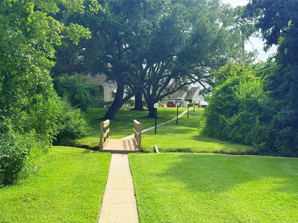 2844 Countrybrook Drive Palm Harbor FL 34684
