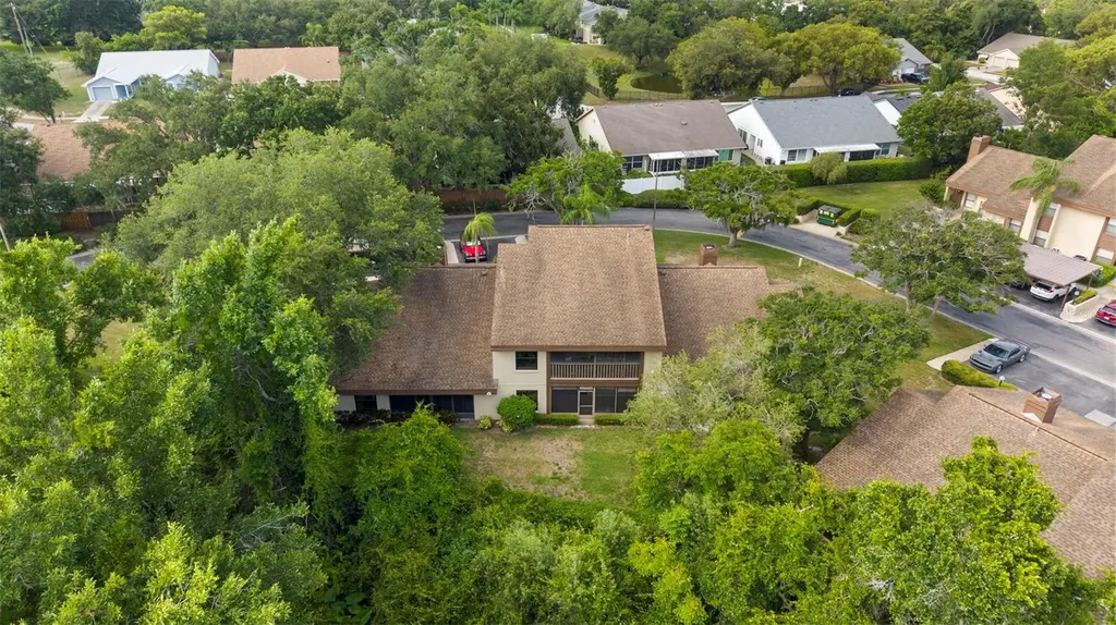 2844 Countrybrook Drive Palm Harbor FL 34684