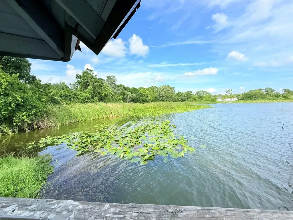 2844 Countrybrook Drive Palm Harbor FL 34684