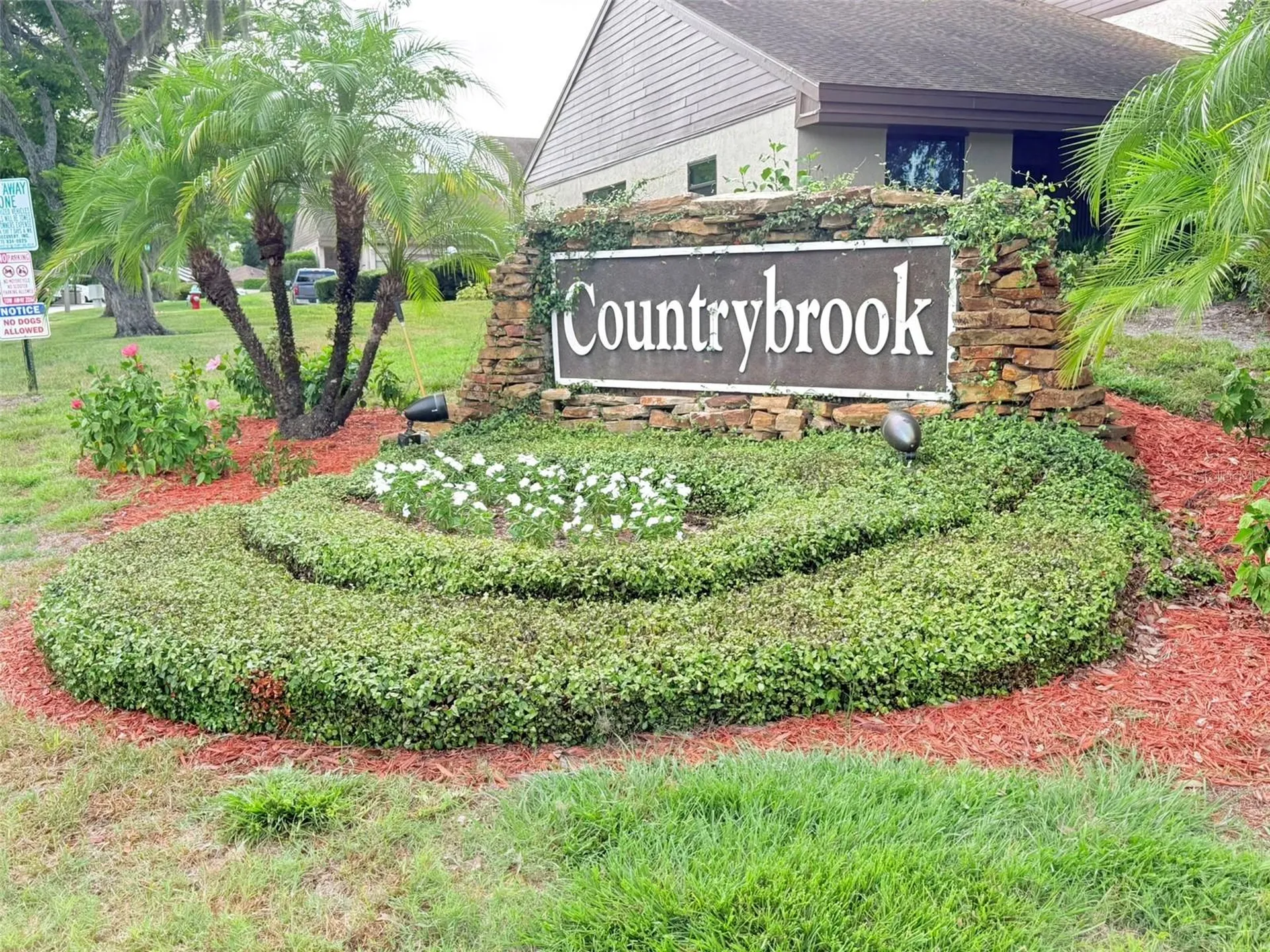 2844 Countrybrook Drive Palm Harbor FL 34684