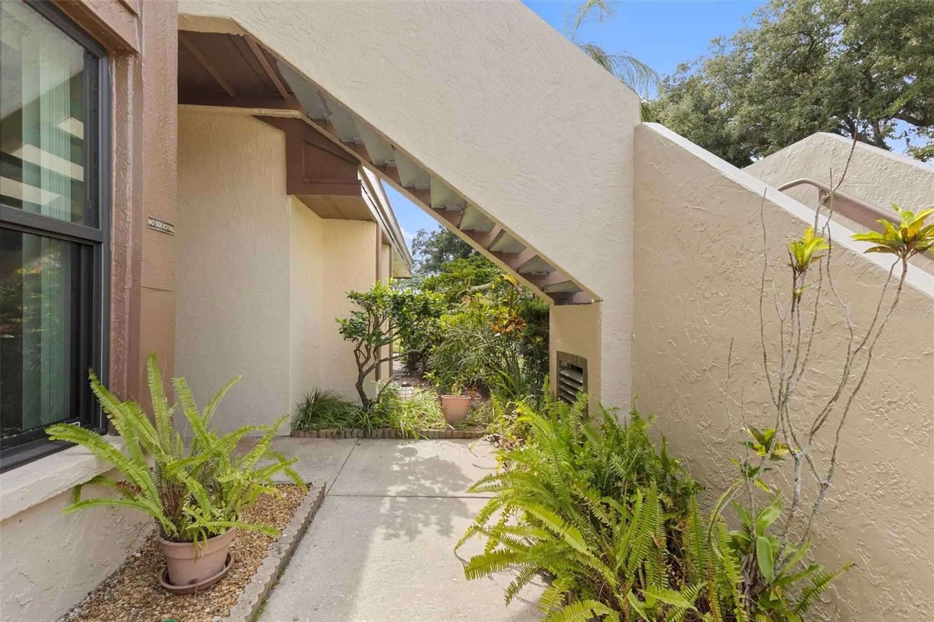 2844 Countrybrook Drive Palm Harbor FL 34684