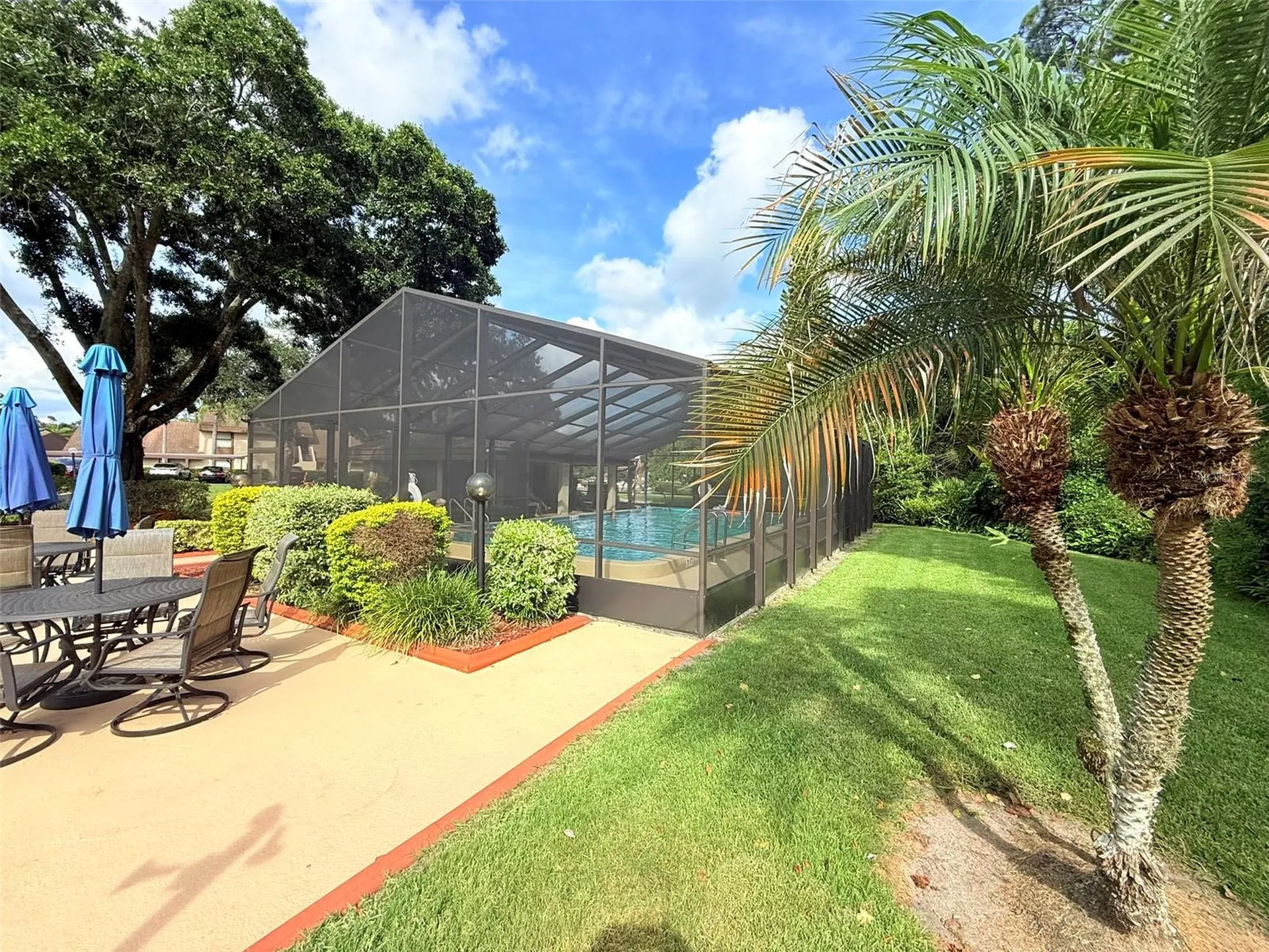 2844 Countrybrook Drive Palm Harbor FL 34684