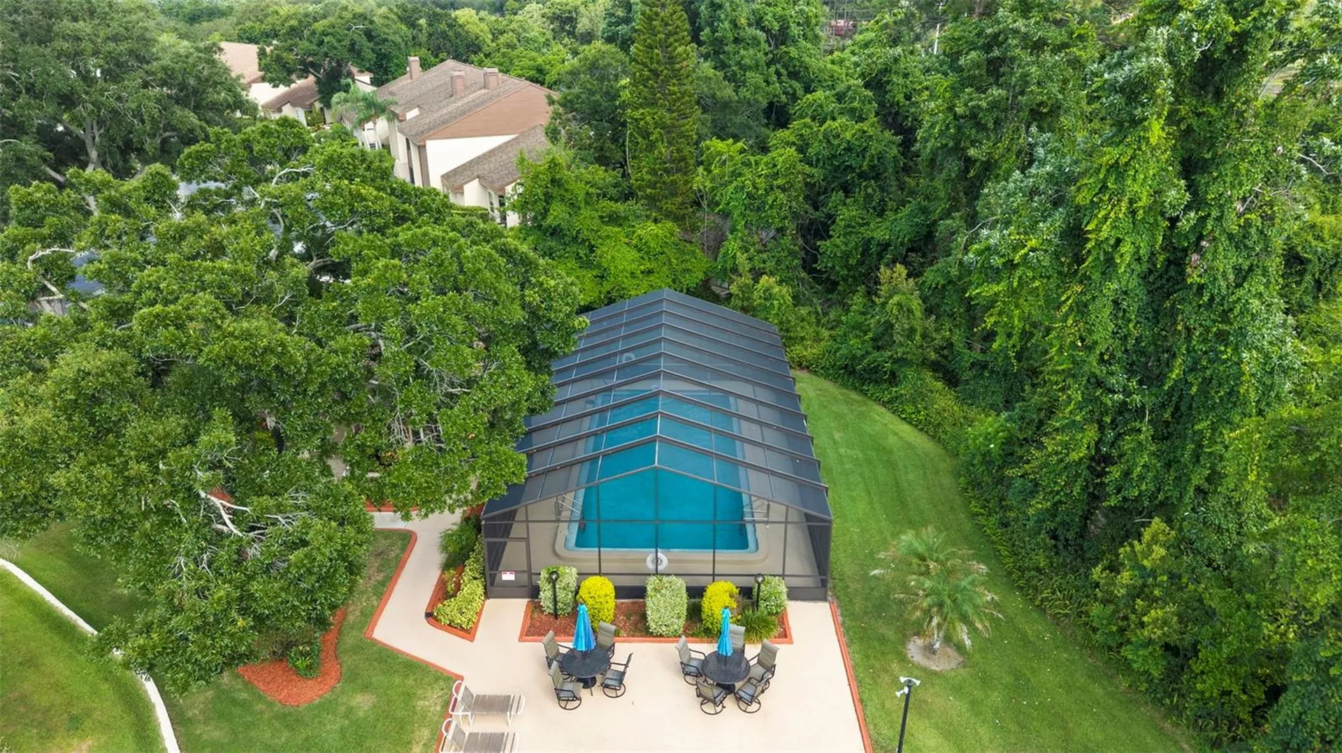 2844 Countrybrook Drive Palm Harbor FL 34684