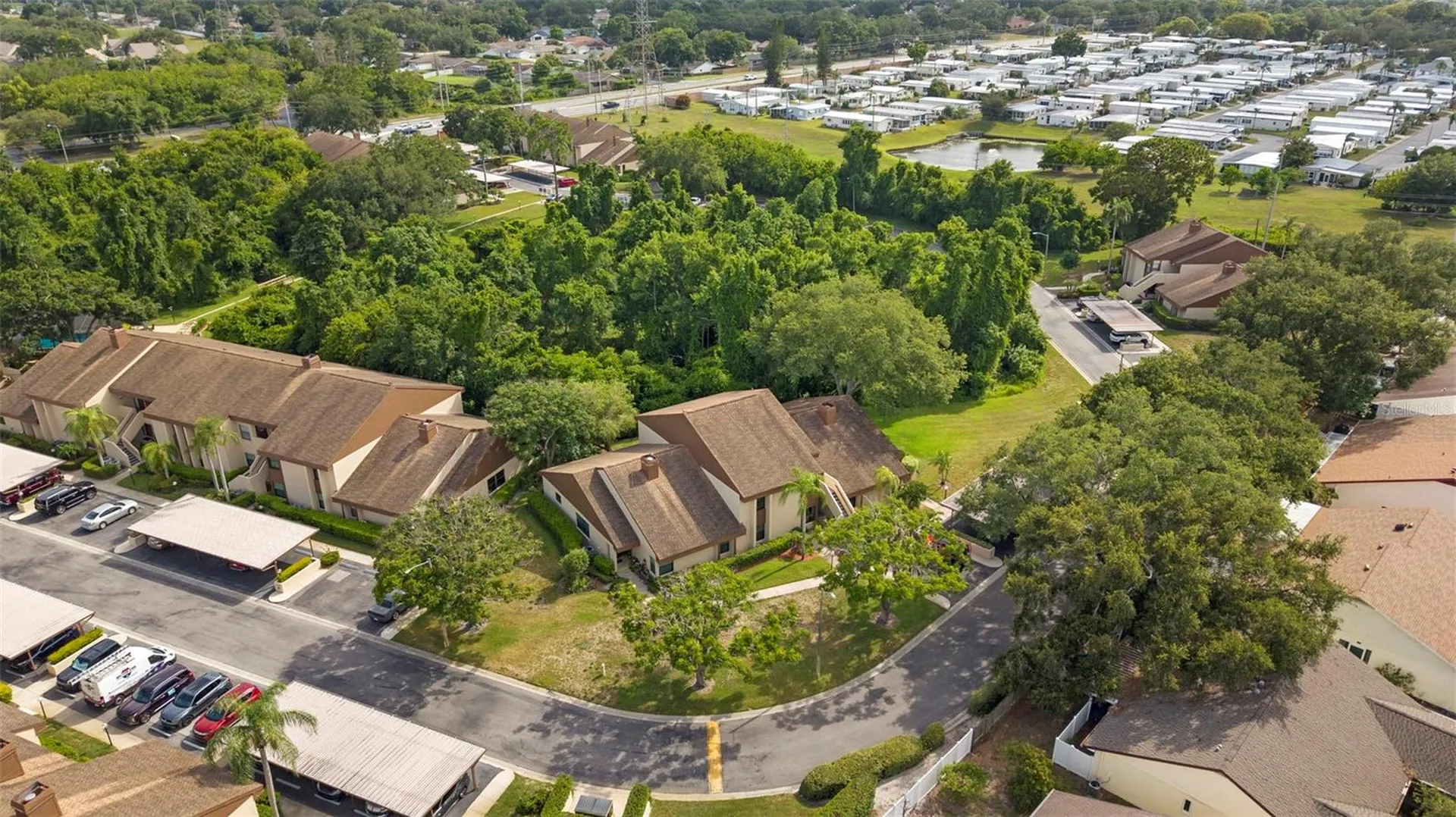 2844 Countrybrook Drive Palm Harbor FL 34684