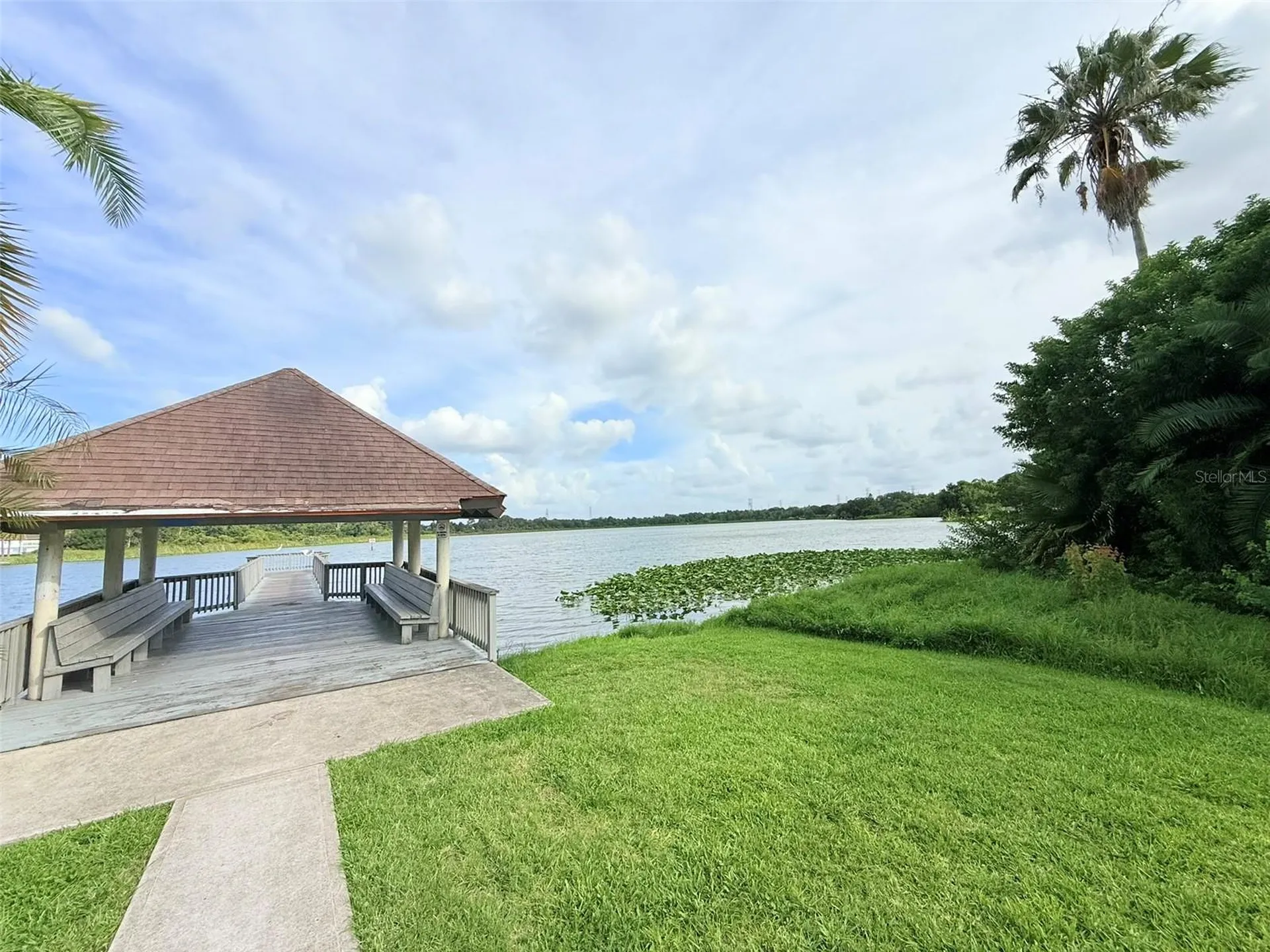2844 Countrybrook Drive Palm Harbor FL 34684