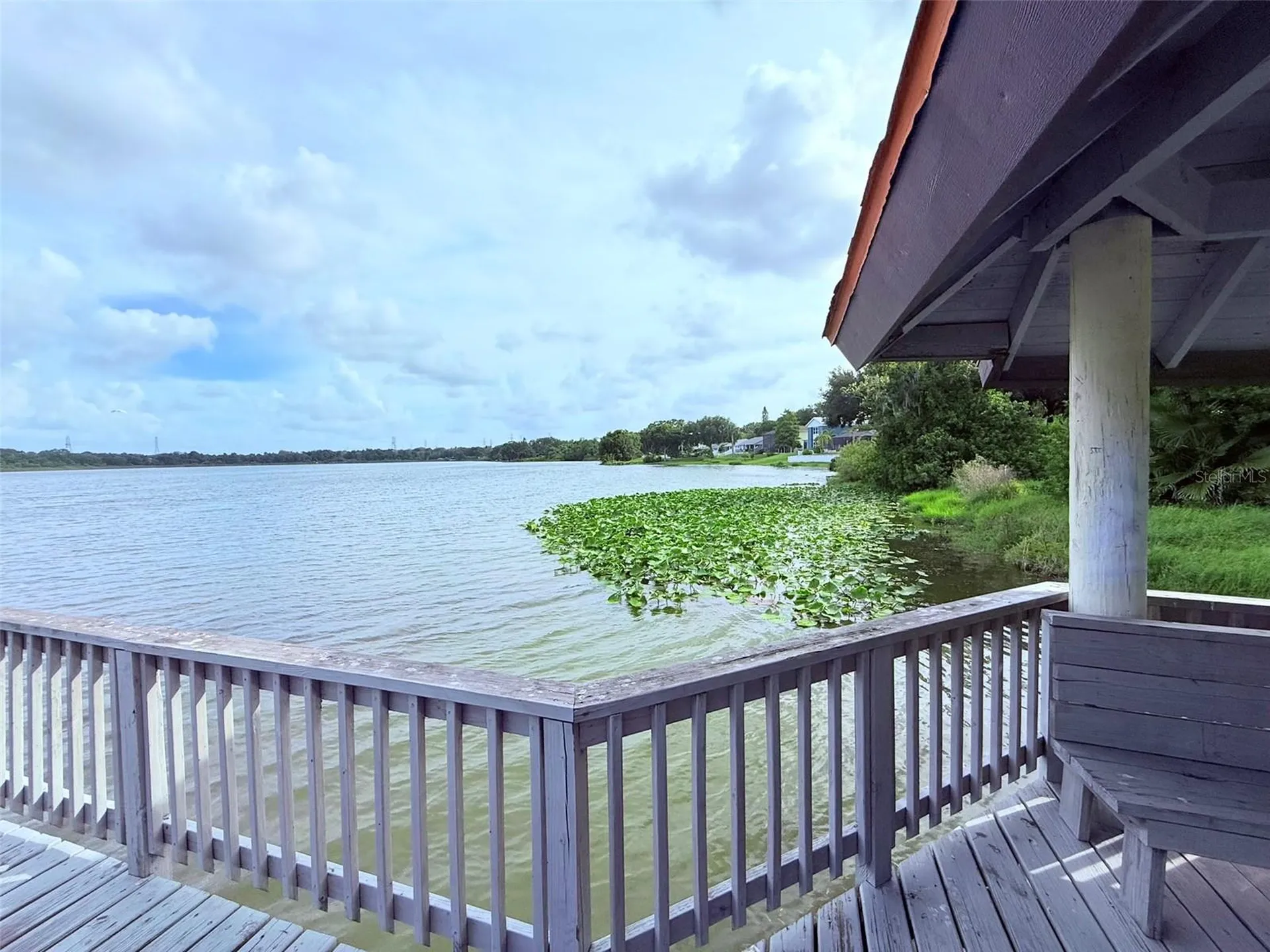 2844 Countrybrook Drive Palm Harbor FL 34684