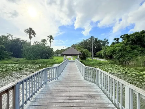 2844 Countrybrook Drive Palm Harbor FL 34684