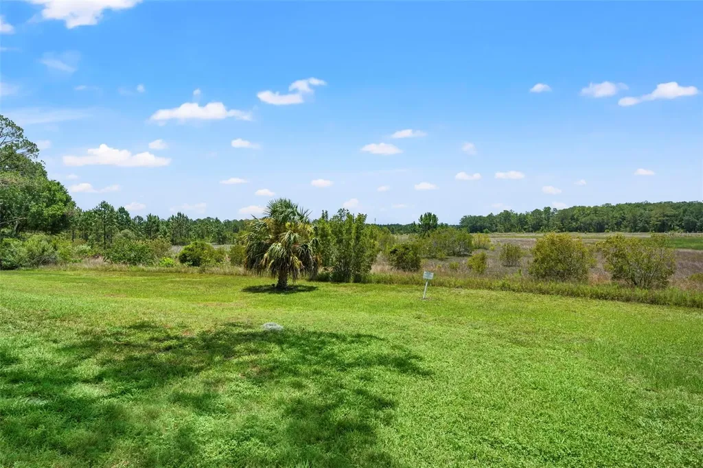 6410 Nature Preserve Lane Spring Hill FL 34606