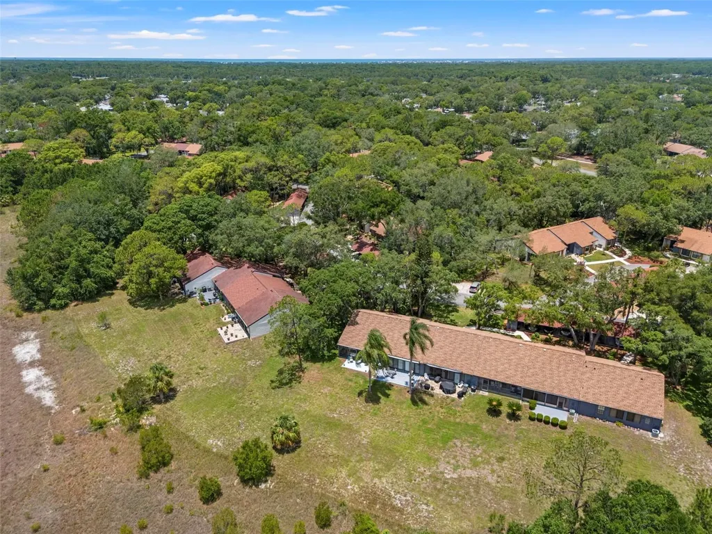 6410 Nature Preserve Lane Spring Hill FL 34606