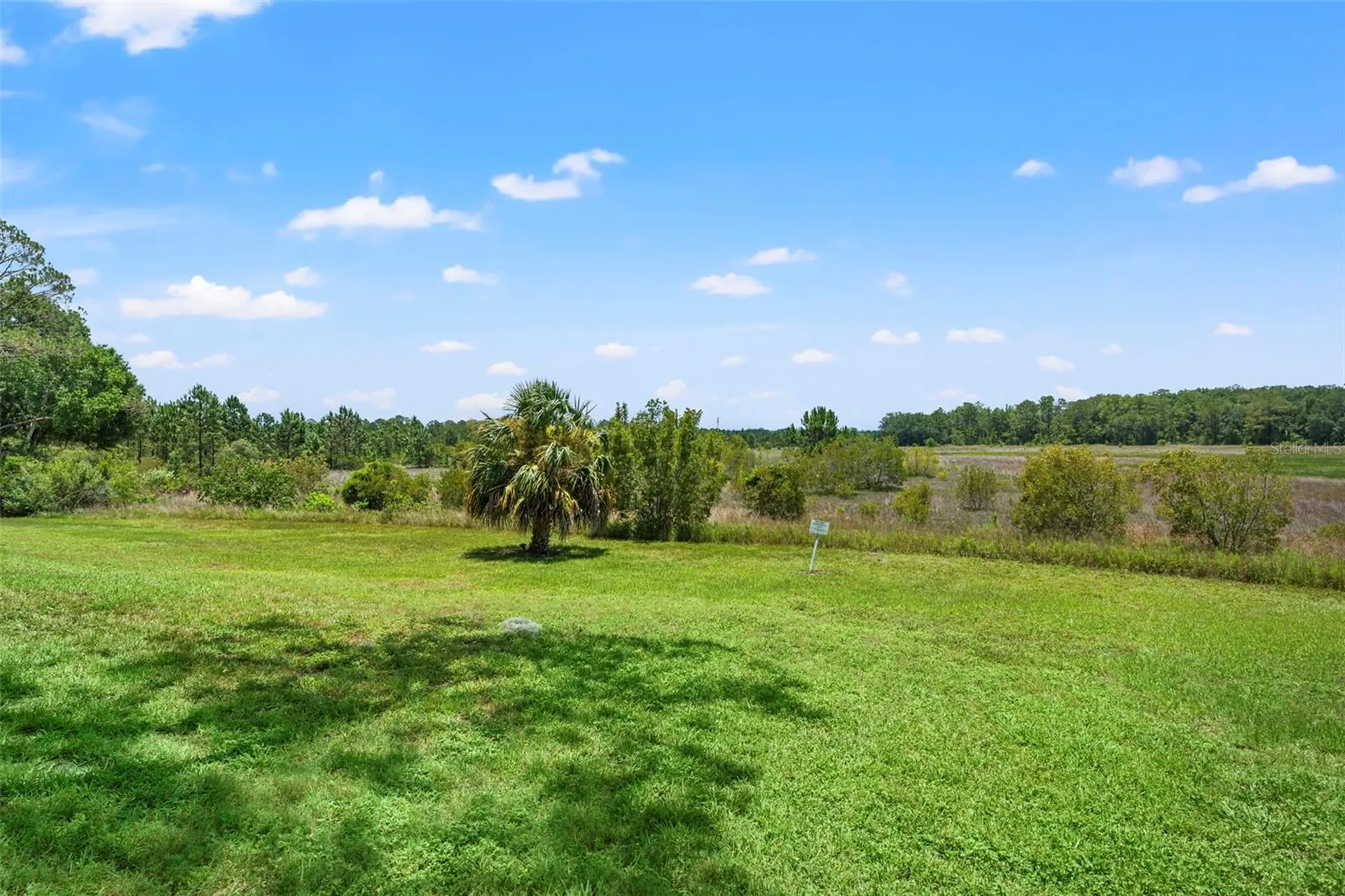 6410 Nature Preserve Lane Spring Hill FL 34606