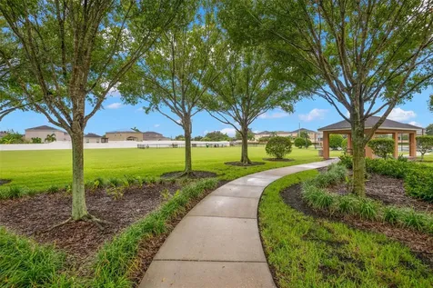 10515 Carloway Hills Drive Wimauma FL 33598