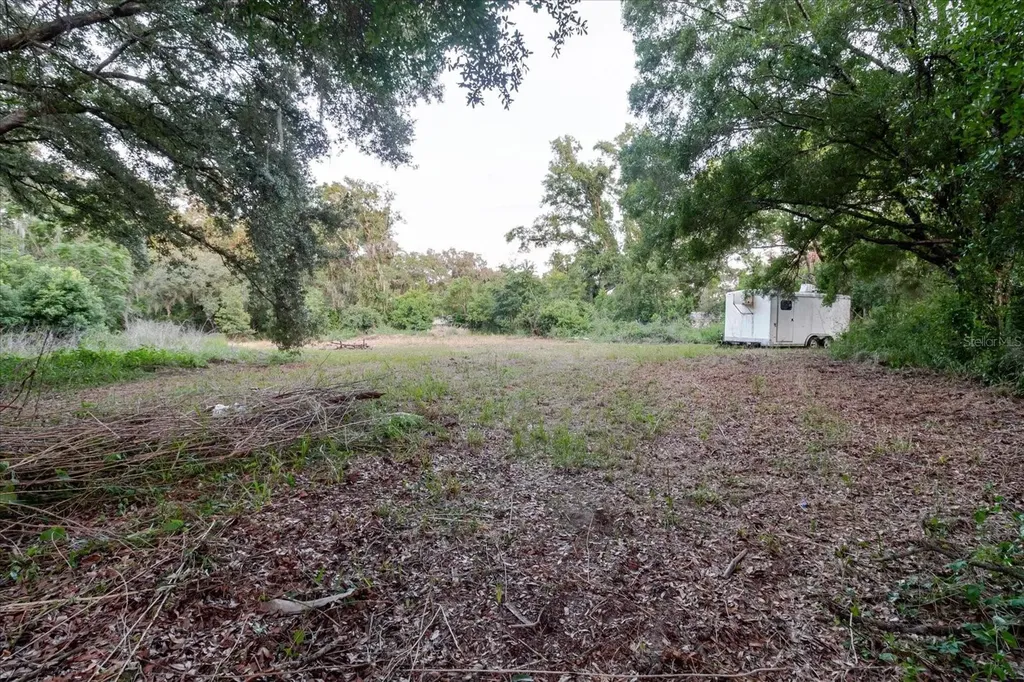 11152 Galaxy Lane Thonotosassa FL 33592