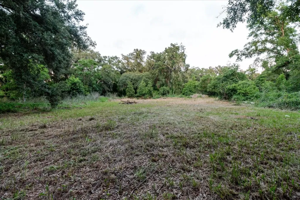 11152 Galaxy Lane Thonotosassa FL 33592
