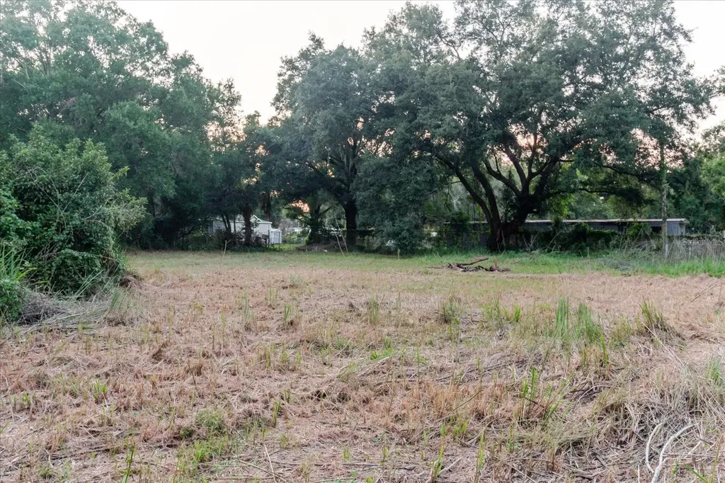 11152 Galaxy Lane Thonotosassa FL 33592