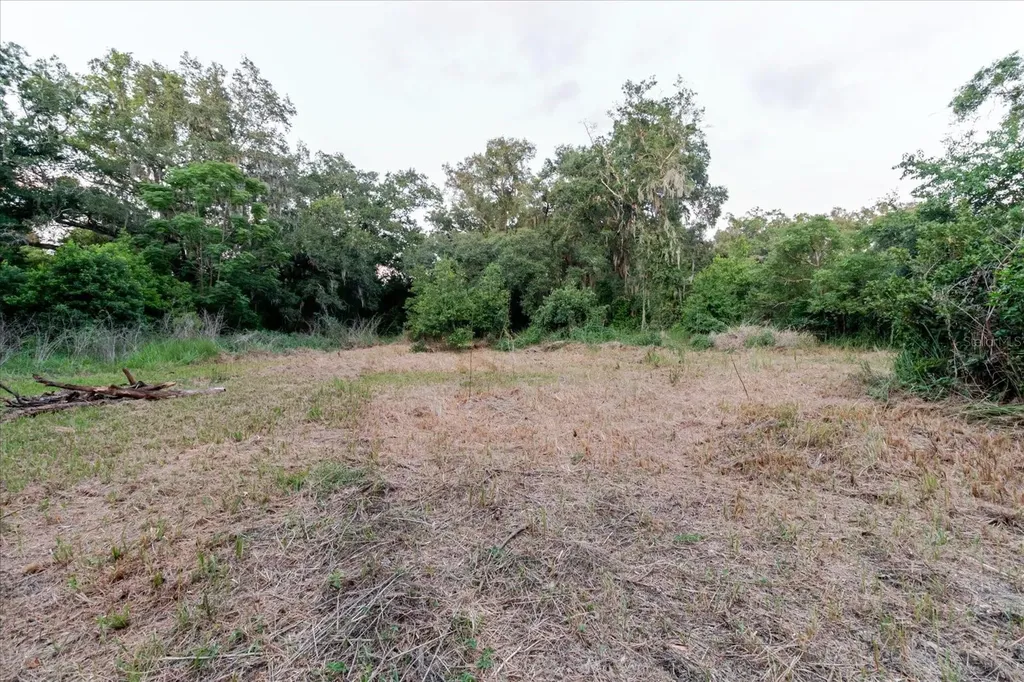 11152 Galaxy Lane Thonotosassa FL 33592