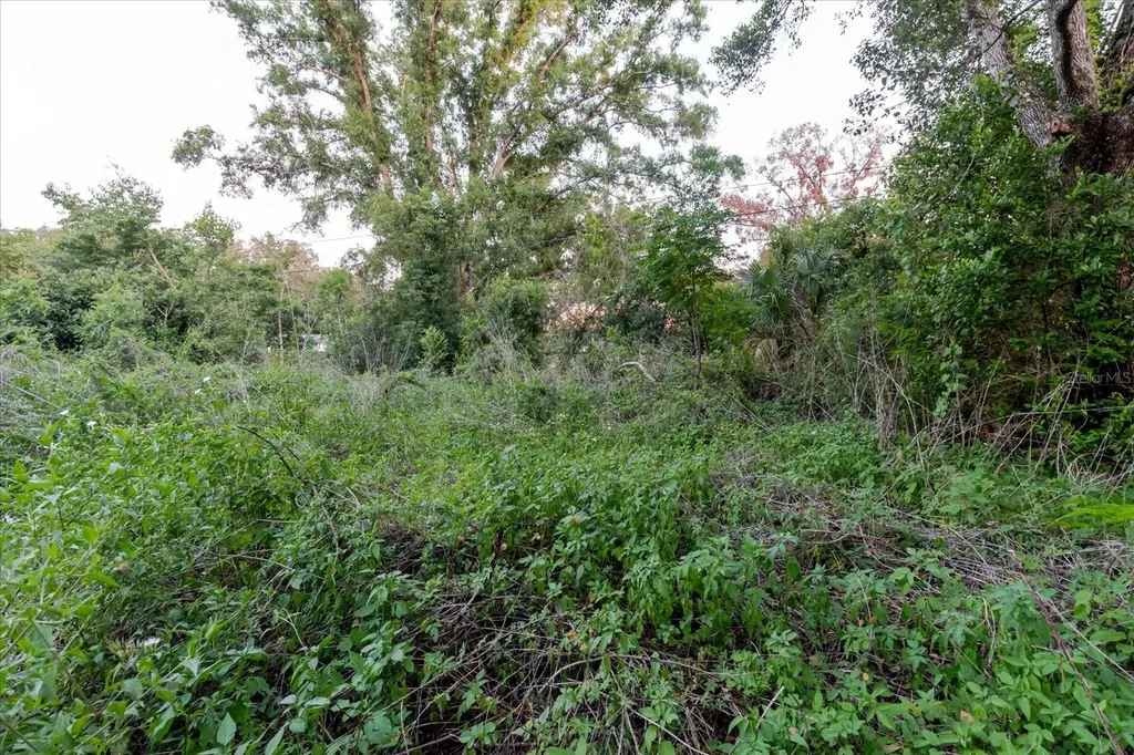 11152 Galaxy Lane Thonotosassa FL 33592