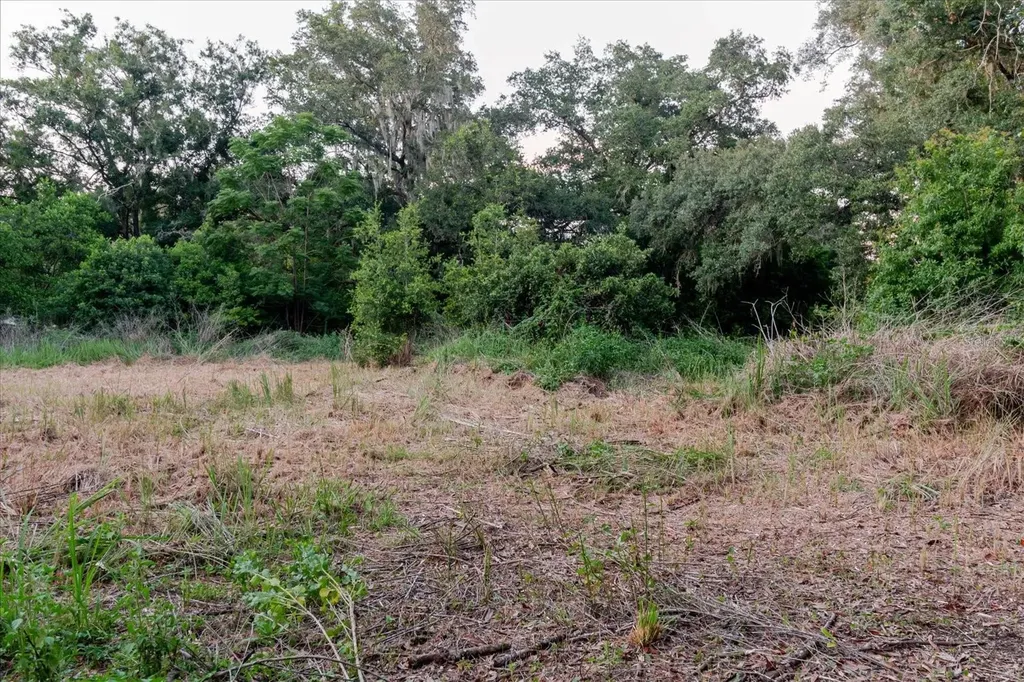 11152 Galaxy Lane Thonotosassa FL 33592